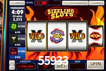 Sistemas de Segurança 55933